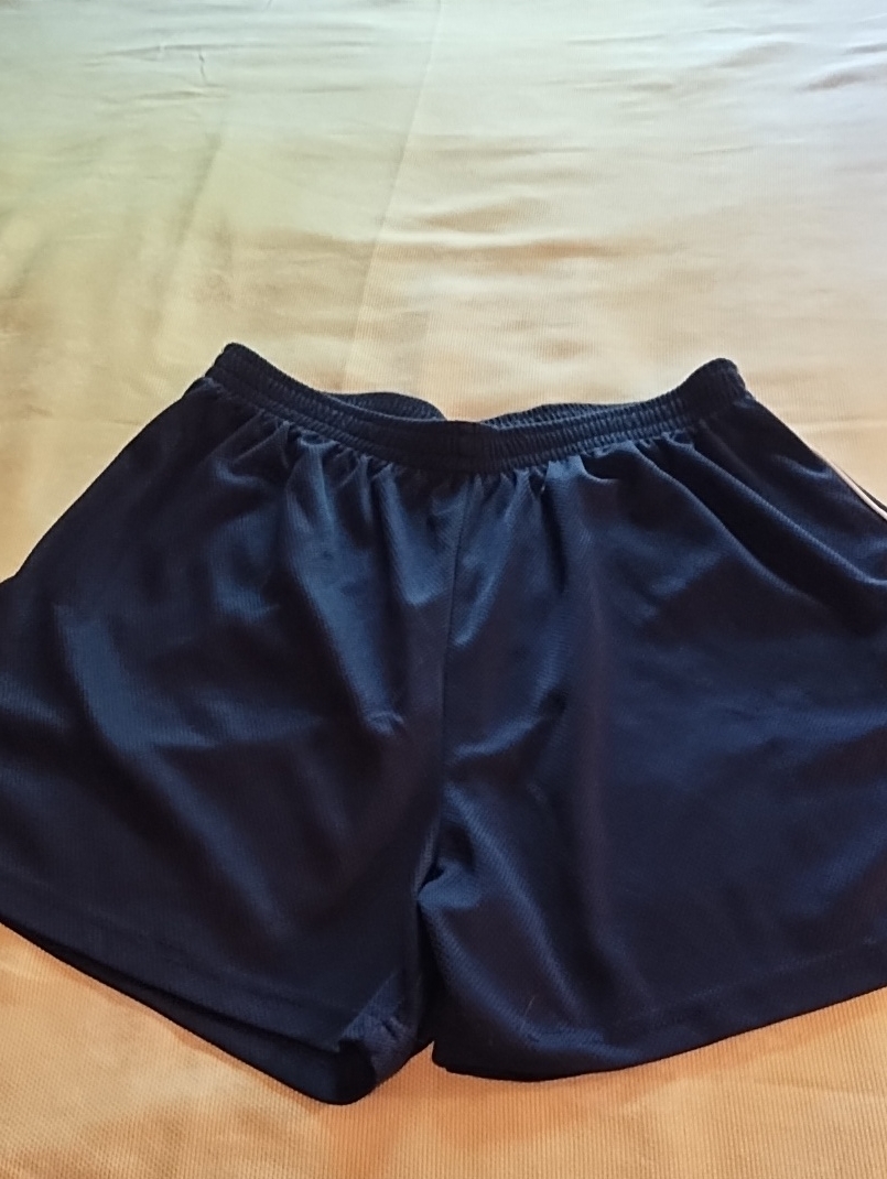 Men's Athletic Shorts - Navy Blue Unisex Large Euc.